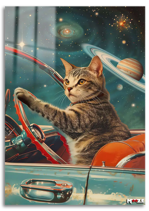 Kozmik Kedi: Üstü Açık Araba