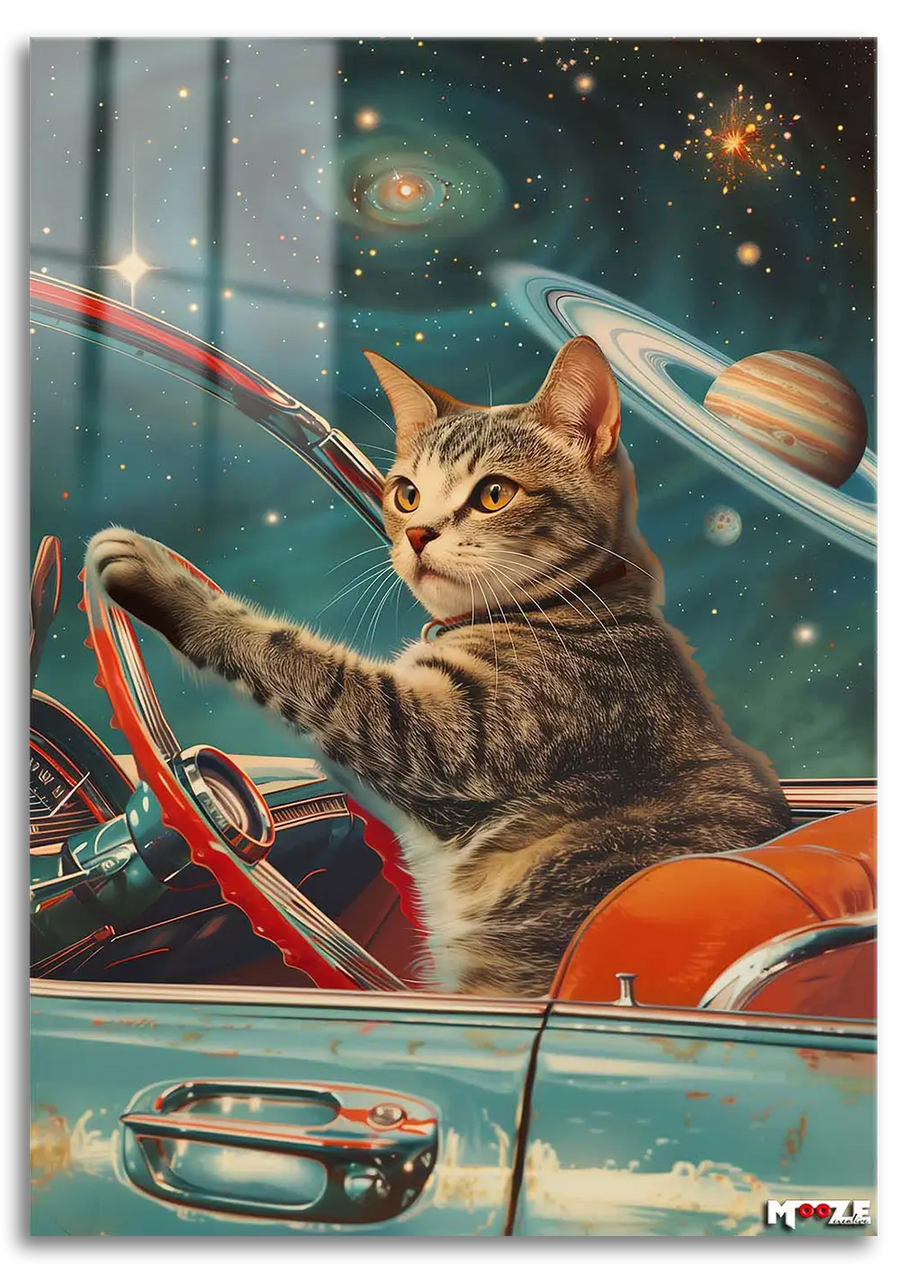 Kozmik Kedi: Üstü Açık Araba