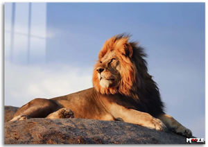 Krallık Seyri: Aslan ve Gün Batımı
