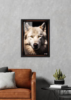 Krem Tüy: Sarı Gözlü Kurt