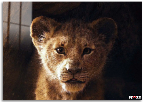 Küçük Kral: Masum Aslan