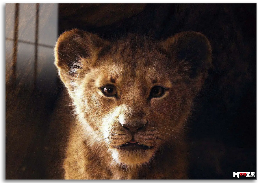 Küçük Kral: Masum Aslan