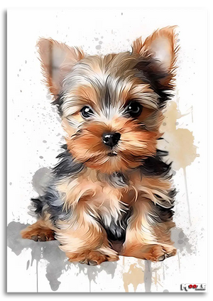 Küçük Prens: Yorkie