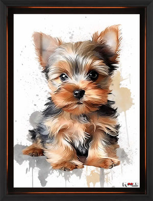 Küçük Prens: Yorkie