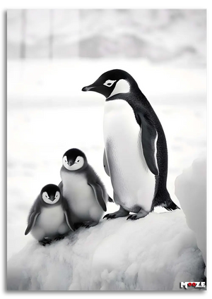 Kutup Ailesi: Penguenler