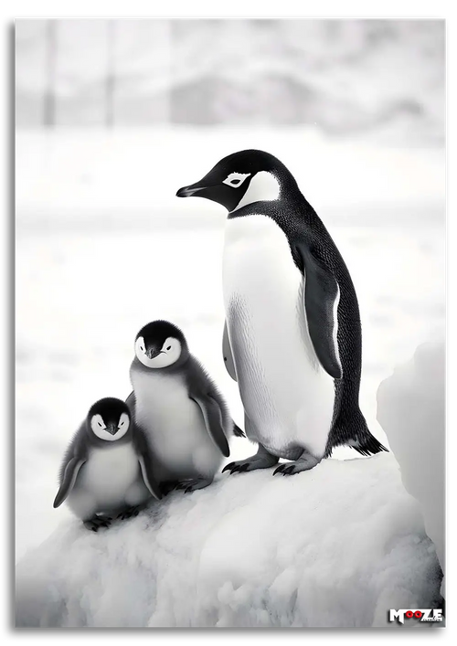 Kutup Ailesi: Penguenler