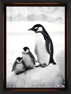 Kutup Ailesi: Penguenler