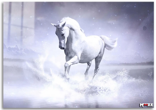 Masalsı Koşu: Unicorn