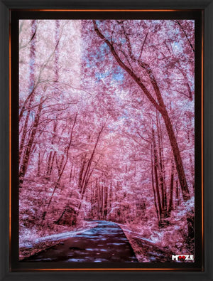 Masalsı Yolculuk: Pembe Orman