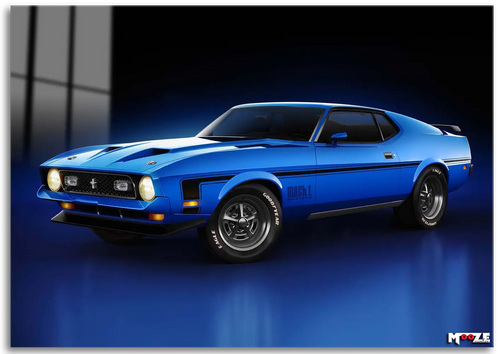 Mavi Fırtına: 1971 Mustang
