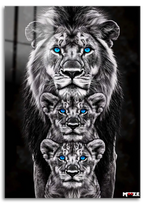 Mavi Gözler: Aslan Ailesi S/B