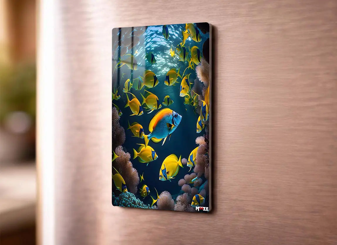 Mercan Resifi: Tropikal Balıklar Magnet