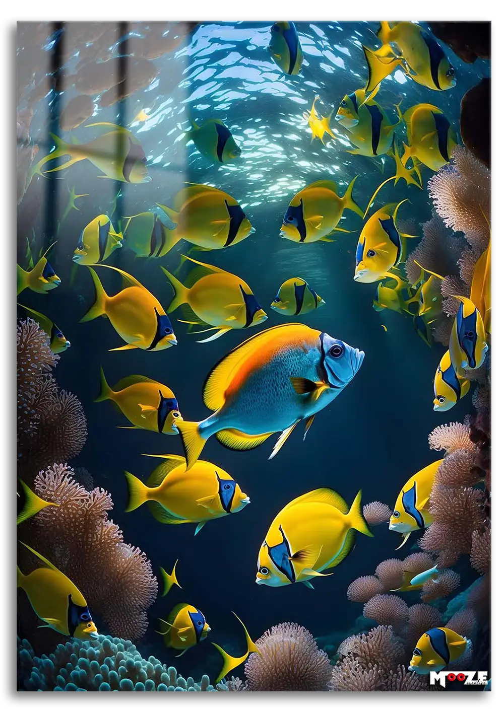 Mercan Resifi: Tropikal Balıklar