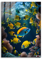 Mercan Resifi: Tropikal Balıklar