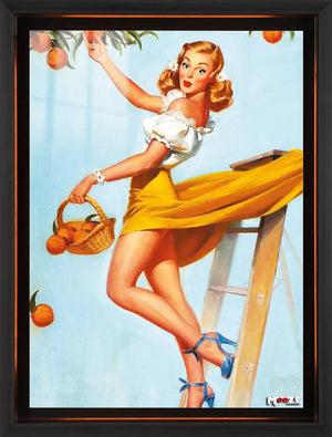 Meyve Hasadı: Pin-up