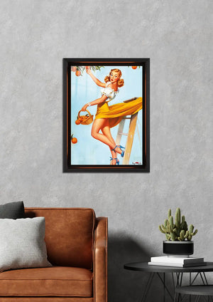 Meyve Hasadı: Pin-up