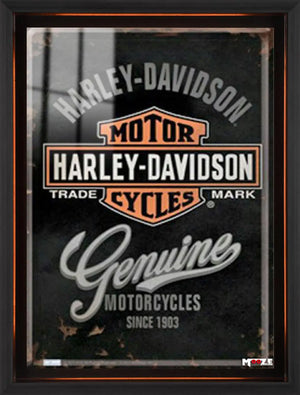 Motor Tutkusu: Harley-Davidson