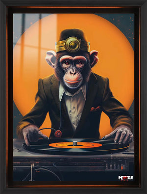 Müzik Doktoru: DJ Şempanze