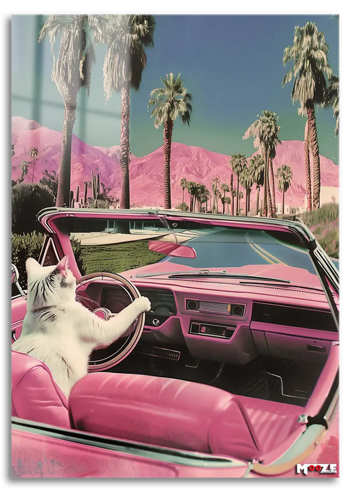 Neon Sürüş: Kedi ve Araba