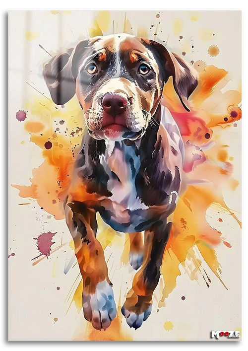 Neşeli Koşu: Av Köpeği