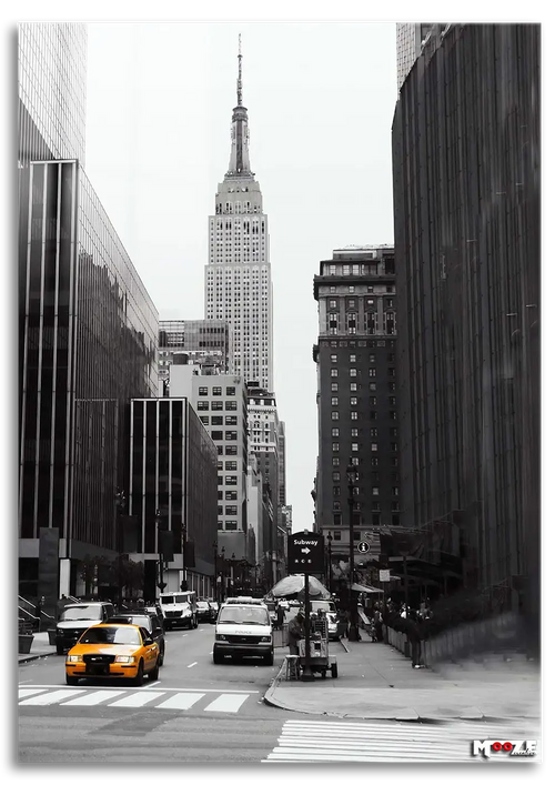 New York Taksi: Sarı Vurgu