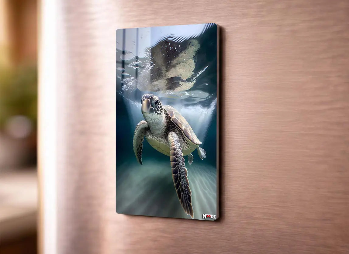 Okyanus Gezgini: Kaplumbağa Magnet