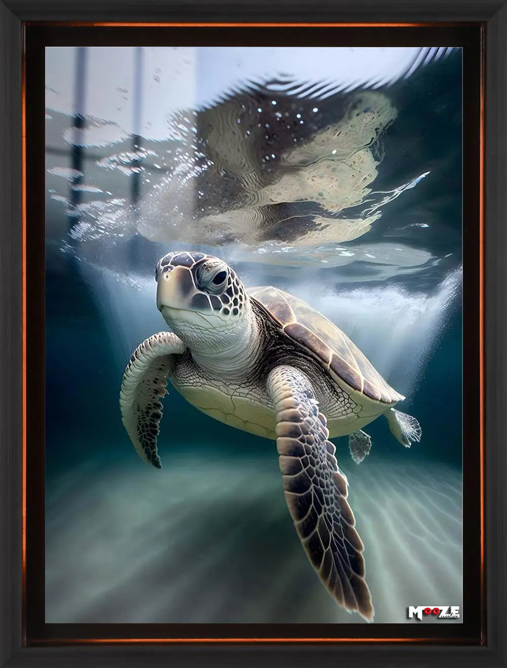 Okyanus Gezgini: Kaplumbağa