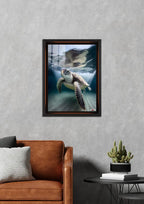 Okyanus Gezgini: Kaplumbağa