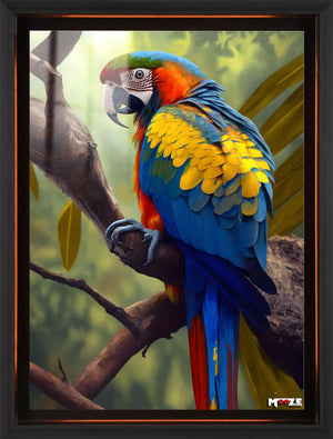 Orman Renkleri: Macaw