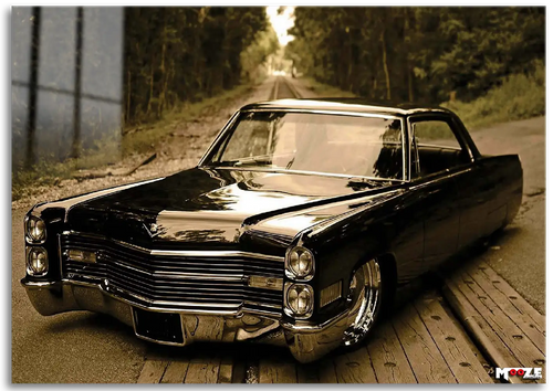 Orman Yolcusu: Siyah Lowrider