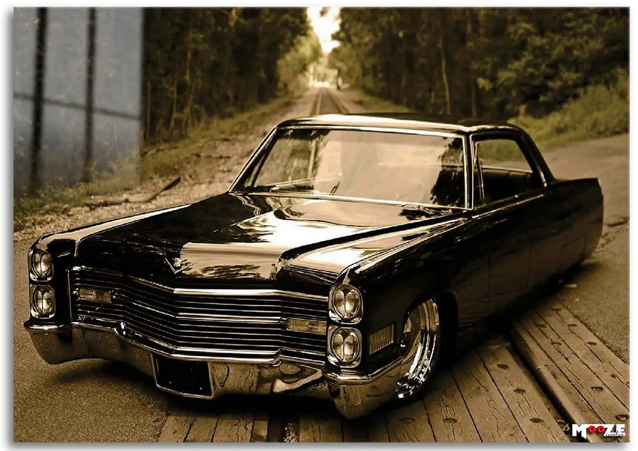 Orman Yolcusu: Siyah Lowrider