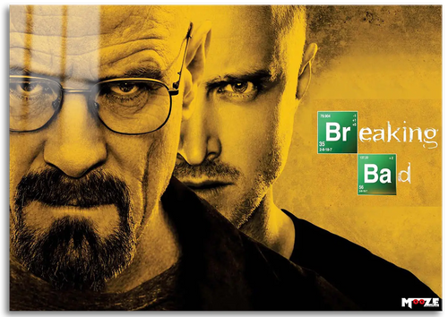 Ortaklar: Walt ve Jesse Portre