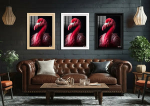 Pembe Zarafet: Flamingo