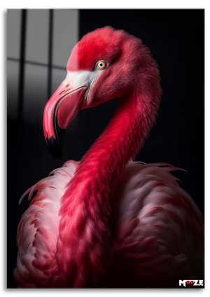 Pembe Zarafet: Flamingo