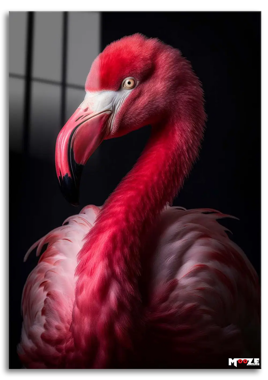 Pembe Zarafet: Flamingo