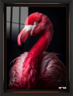 Pembe Zarafet: Flamingo