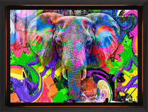 Renkli Fil: Pop Art Portre