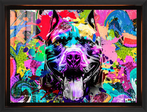 Renkli Pitbull: Pop Art Enerji