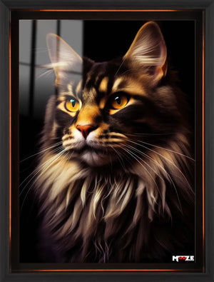 Sarı Gözler: Maine Coon