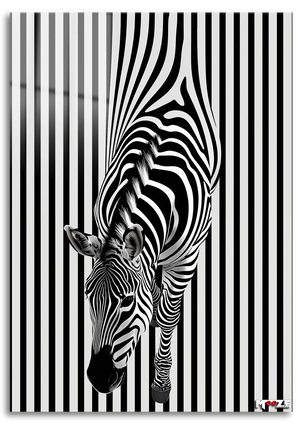 Sihirli Çizgiler: Optik Zebra