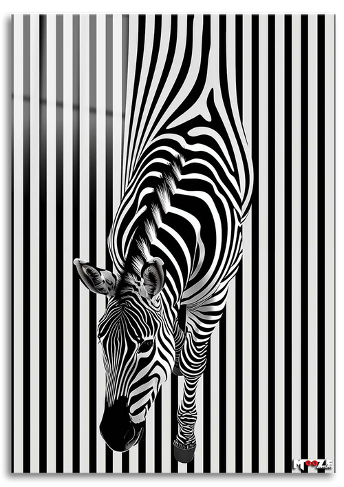 Sihirli Çizgiler: Optik Zebra