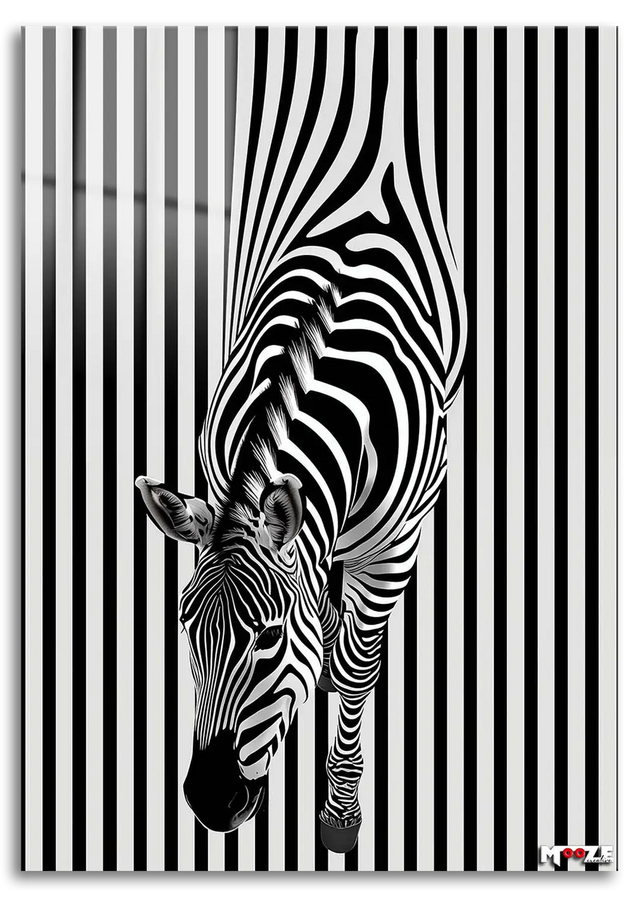 Sihirli Çizgiler: Optik Zebra