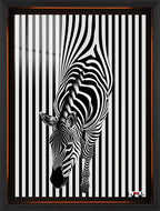 Sihirli Çizgiler: Optik Zebra