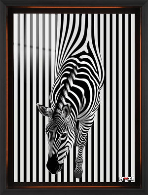 Sihirli Çizgiler: Optik Zebra