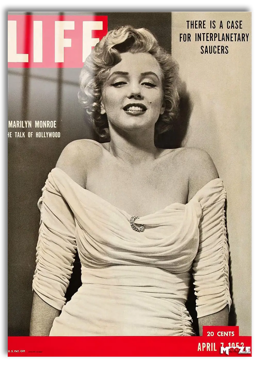 Sinema Sanatı: LIFE Marilyn