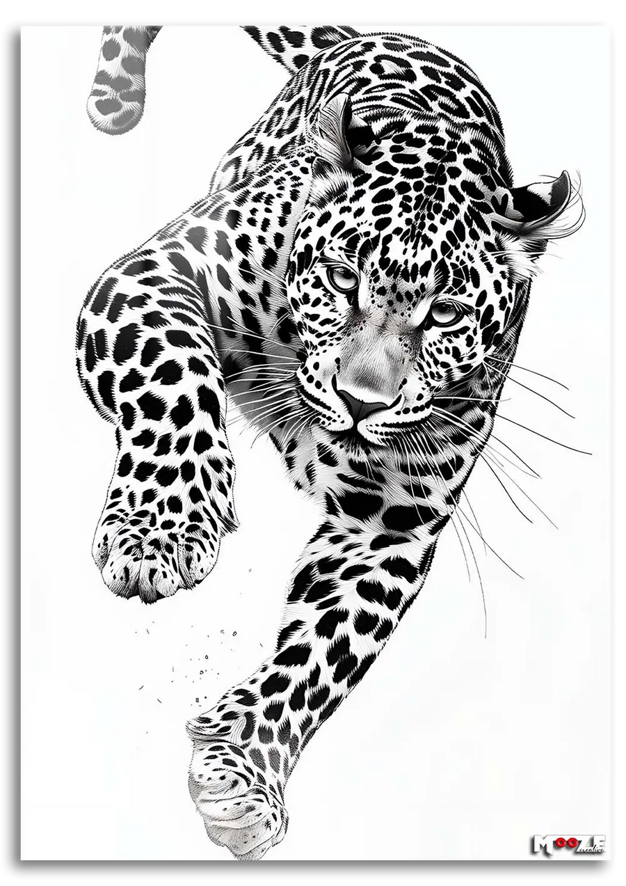 Siyah Beyaz: Koşan Leopar