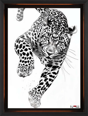 Siyah Beyaz: Koşan Leopar