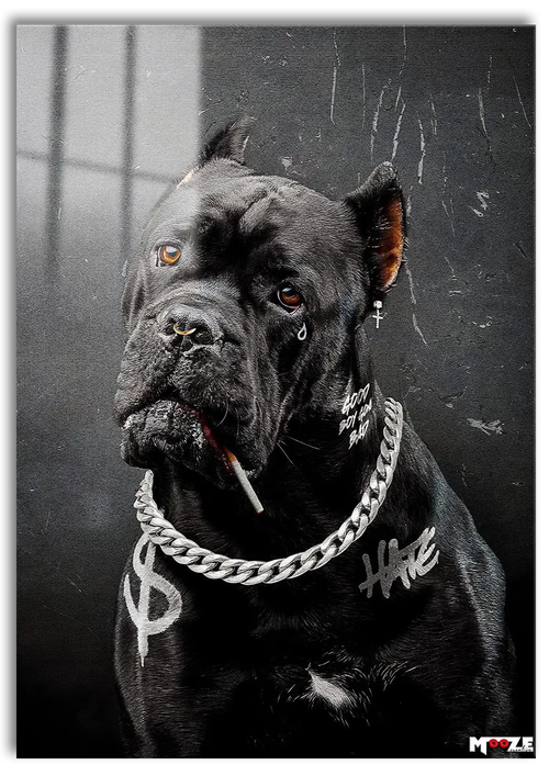 Sokak Gücü: Pitbull Portre