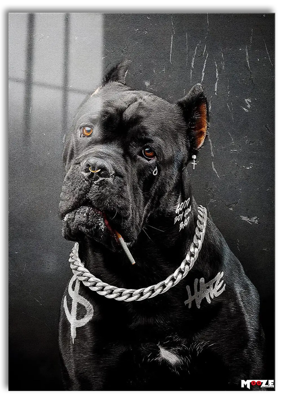 Sokak Gücü: Pitbull Portre