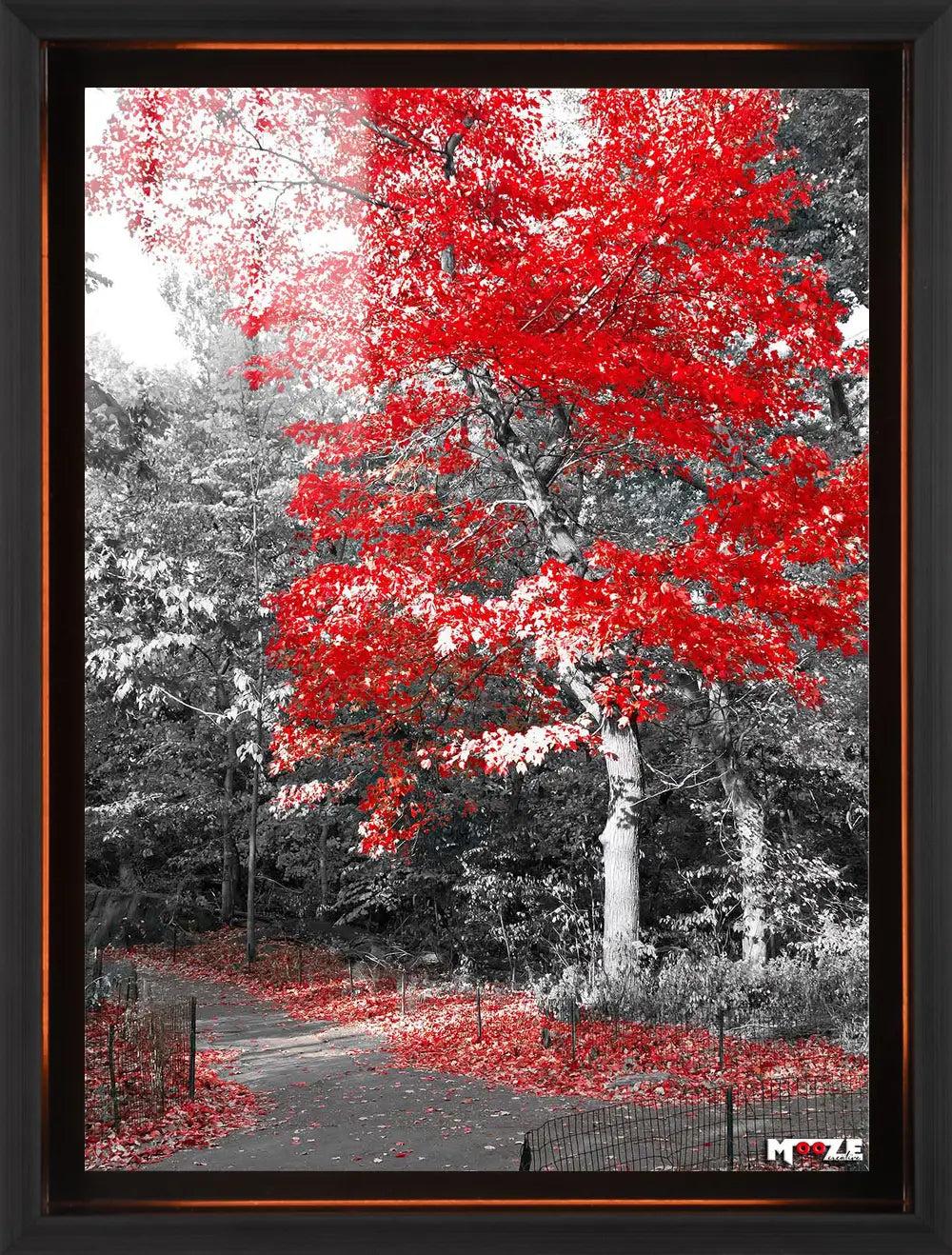 Sonbahar Kırmızısı: Park